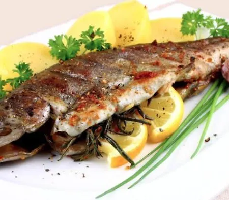 Traditional Gulet, Cruises & Events Πλωτό κατάλυμα