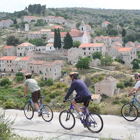 Traditional Gulet, Cruises & Events